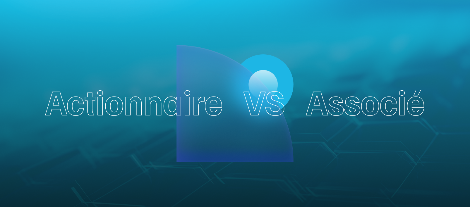 Actionnaire vs associé : définition et différences - Juridifeel - Le